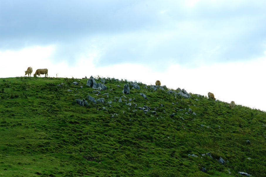 b0075541_611569.jpg