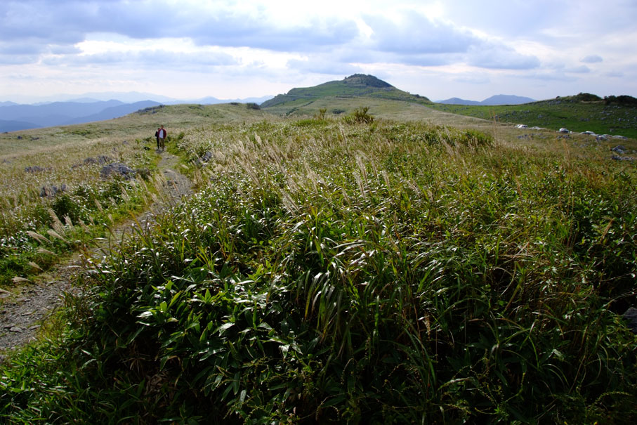 b0075541_633080.jpg