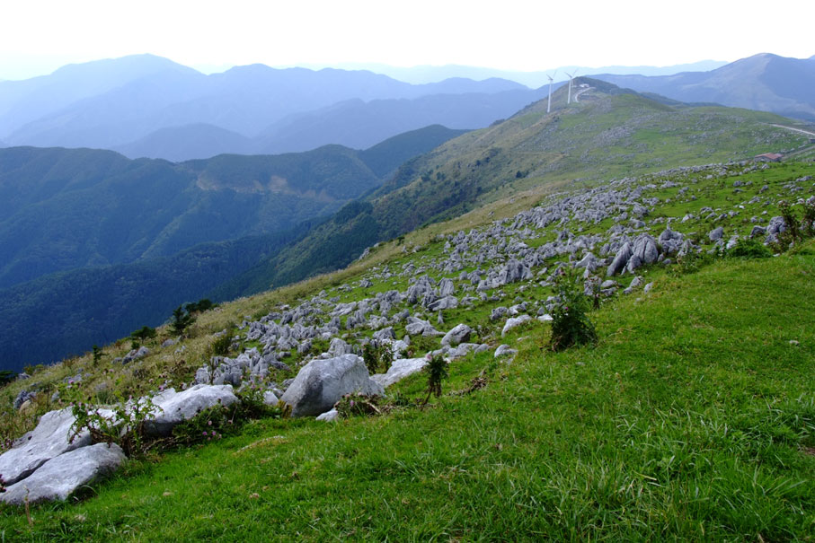 b0075541_67376.jpg