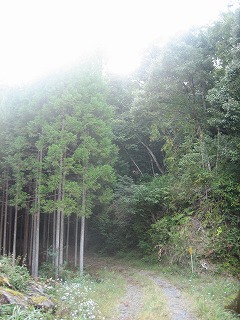 a0054948_220436.jpg
