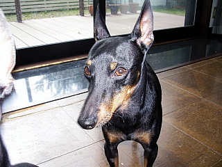 c0123149_15562916.jpg