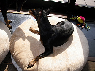 c0123149_1605818.jpg