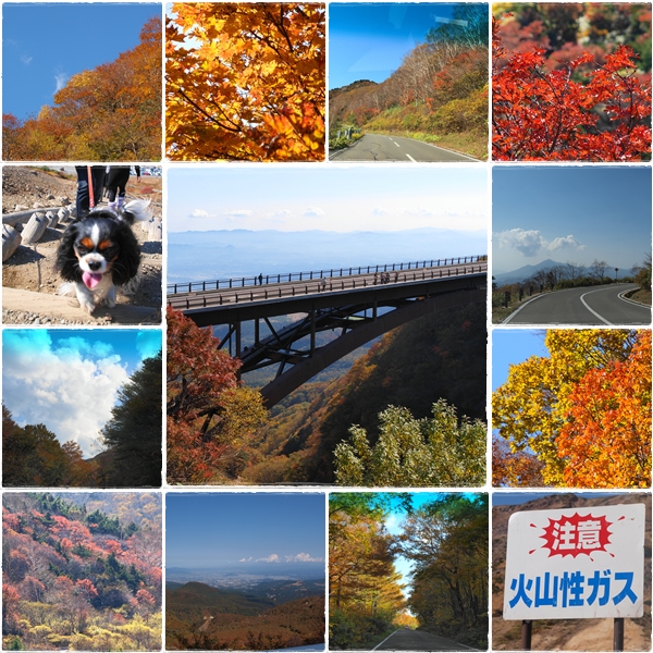 c0145250_622947.jpg
