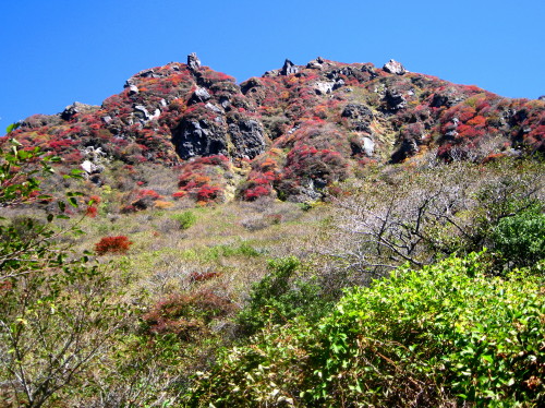 c0179351_1891276.jpg