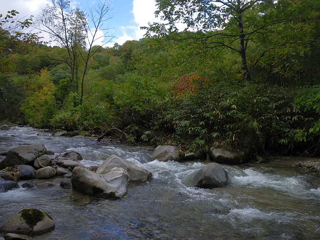 c0060452_2242389.jpg
