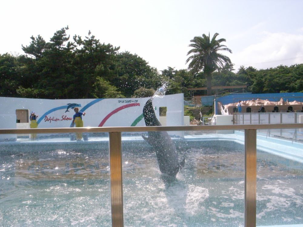 c0138553_12154527.jpg