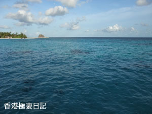 f0190653_929828.jpg