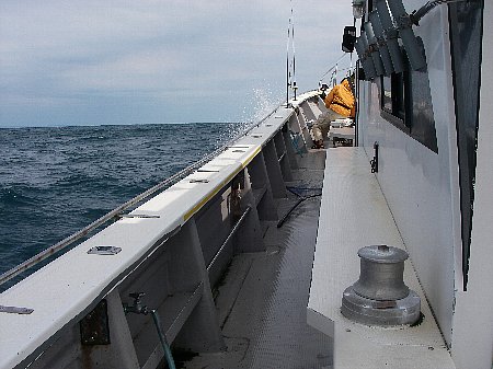 a0056654_11283351.jpg