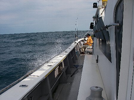 a0056654_11285533.jpg