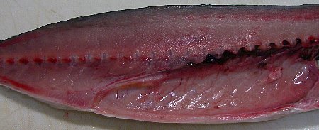 a0056654_15215226.jpg