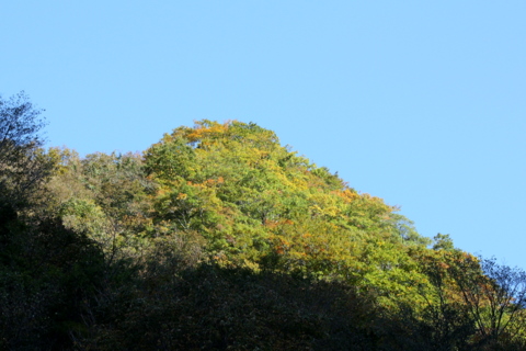 c0183164_2153529.jpg