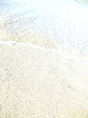 d0102664_041433.jpg