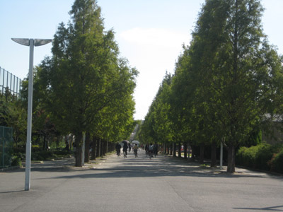 c0117570_1322196.jpg