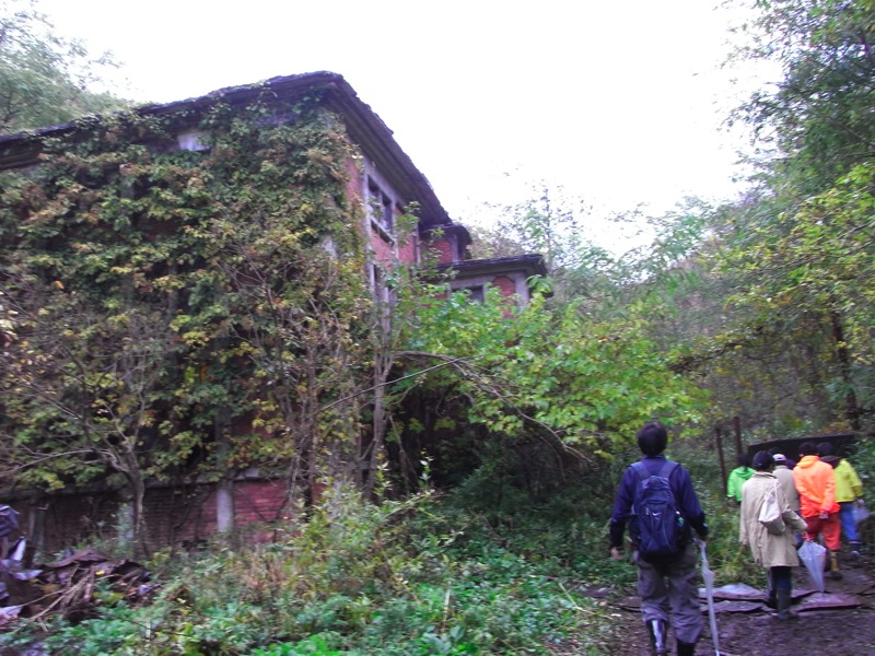 d0005370_11524033.jpg