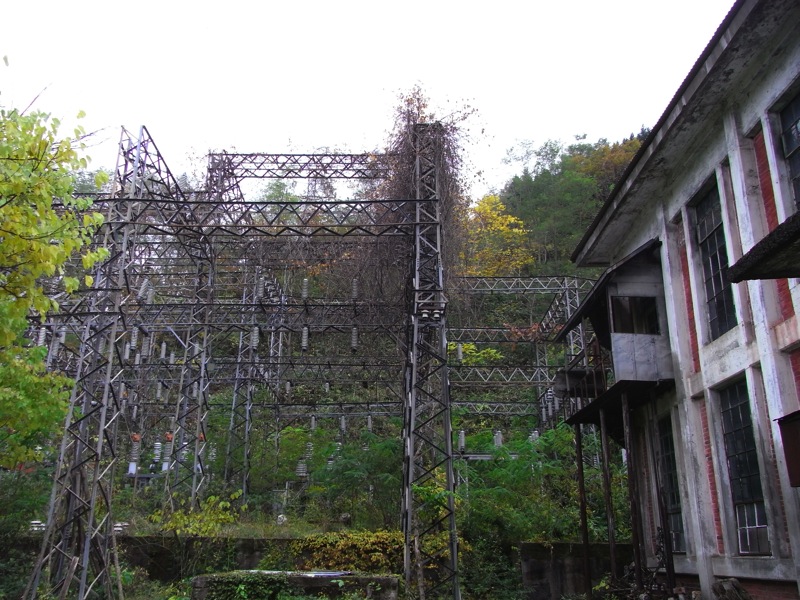 d0005370_1152483.jpg