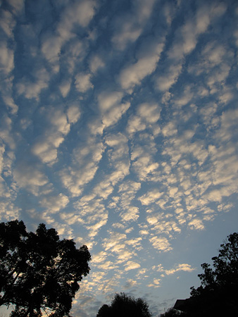 c0104371_11392746.jpg