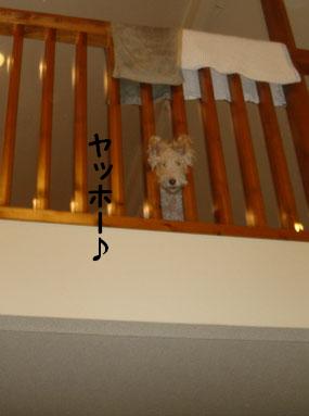 b0091373_20235626.jpg