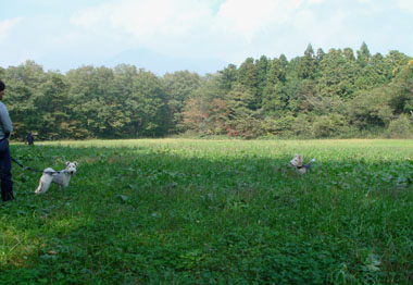 b0091373_2026308.jpg