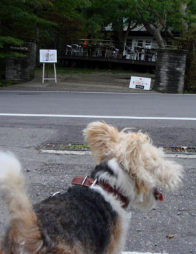 b0091373_20271634.jpg
