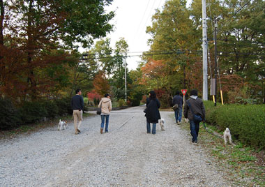b0091373_20274677.jpg