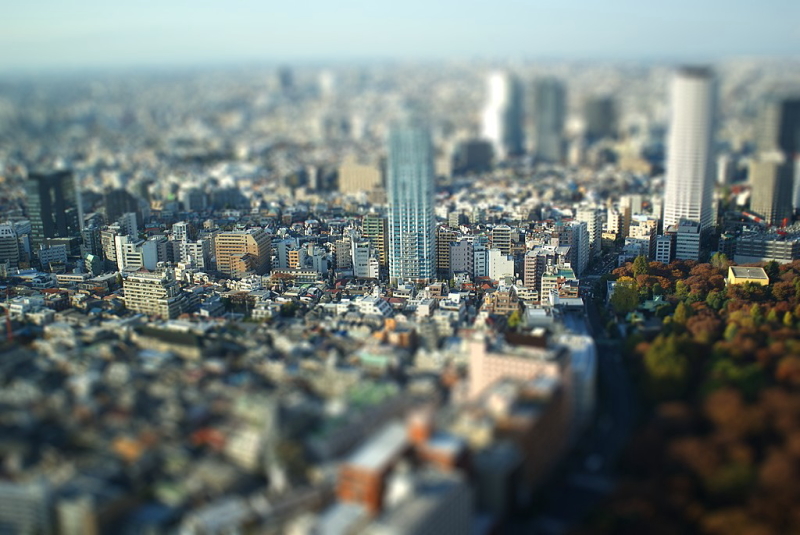 c0194174_2024663.jpg