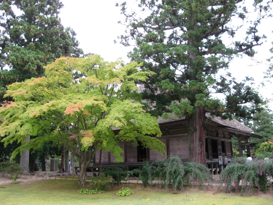 b0174079_22363010.jpg