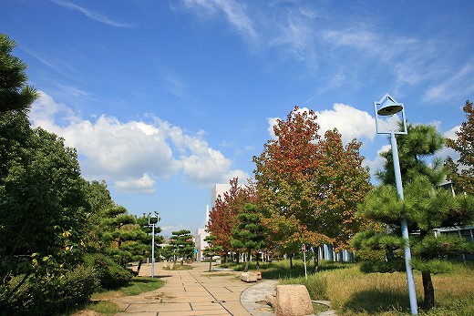 e0190885_19111453.jpg