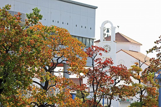 e0190885_1911225.jpg