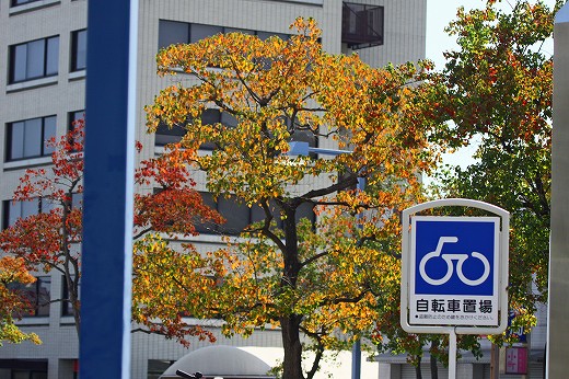 e0190885_19113053.jpg