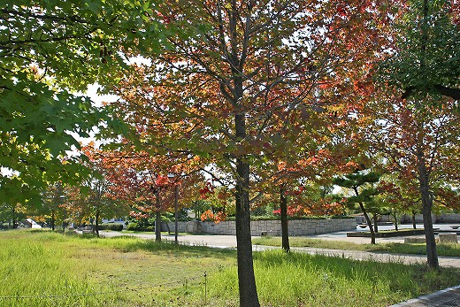 e0190885_1911875.jpg