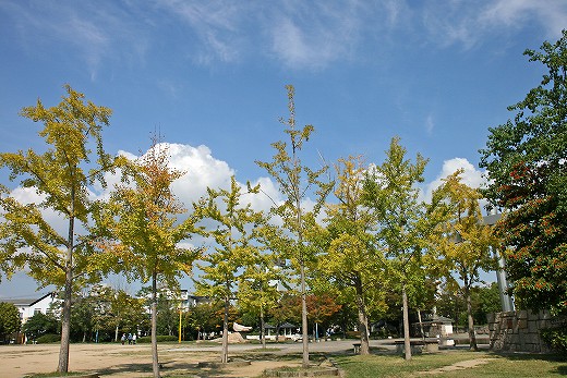 e0190885_1982658.jpg