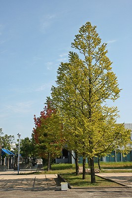 e0190885_1983526.jpg