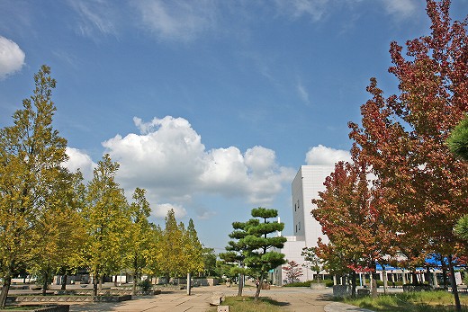 e0190885_198775.jpg