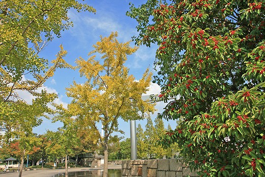 e0190885_1991580.jpg