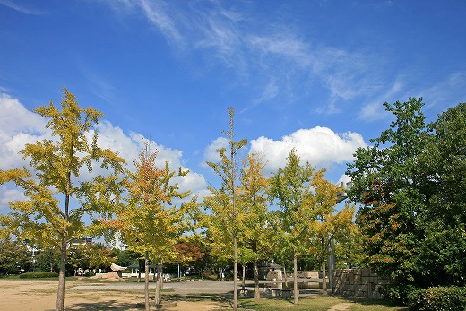 e0190885_1992219.jpg