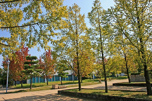 e0190885_199993.jpg