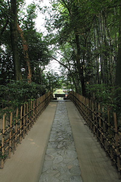 e0051888_5224627.jpg