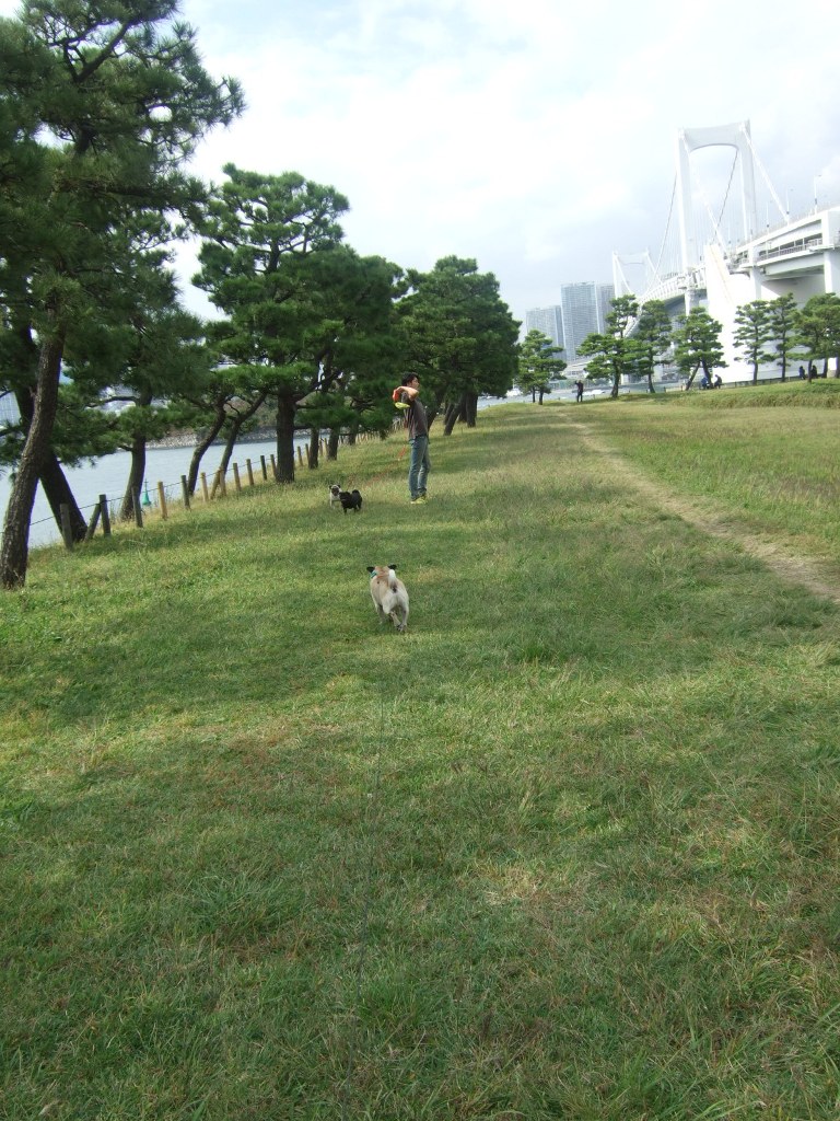 f0063791_13575175.jpg