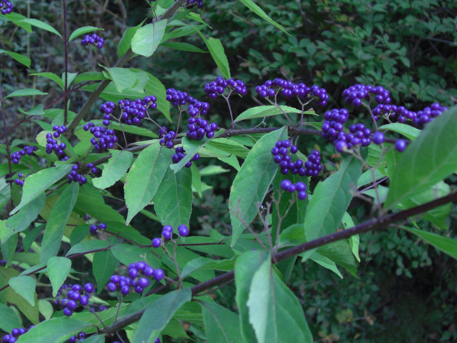f0131491_17434019.jpg