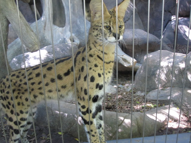 e0171595_1202839.jpg