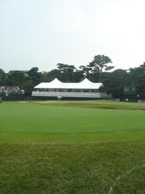 a0063997_8123883.jpg