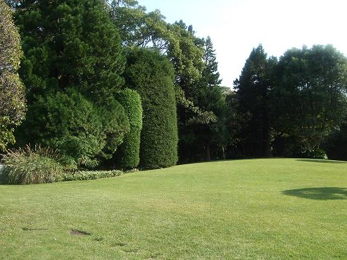 f0153998_23294638.jpg
