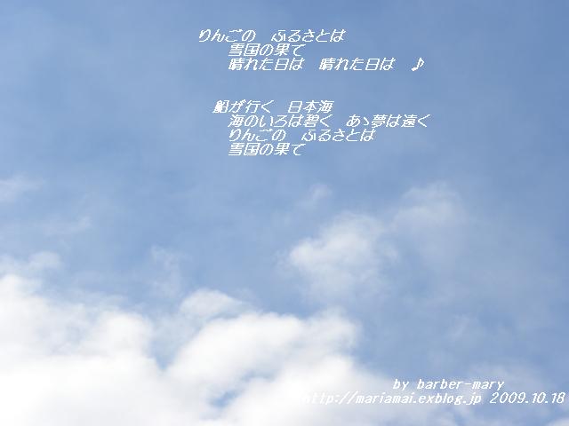 b0147203_1952428.jpg
