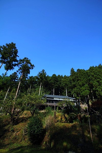 e0117503_17385943.jpg