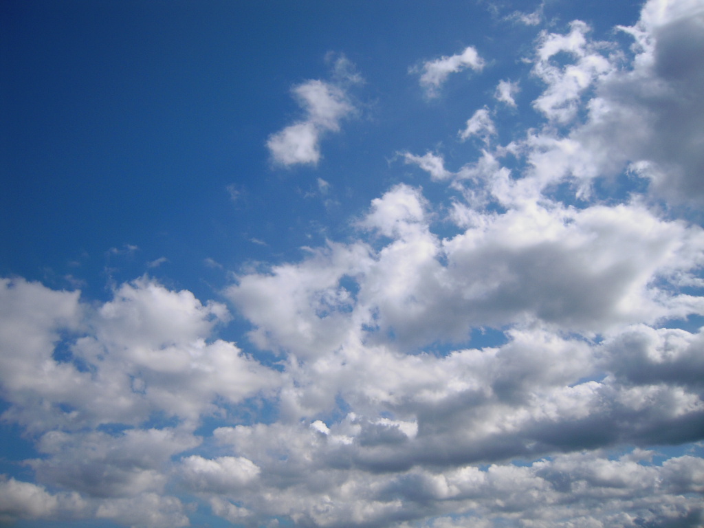 c0132608_1834571.jpg
