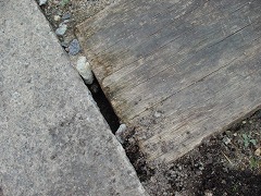 c0190010_137390.jpg