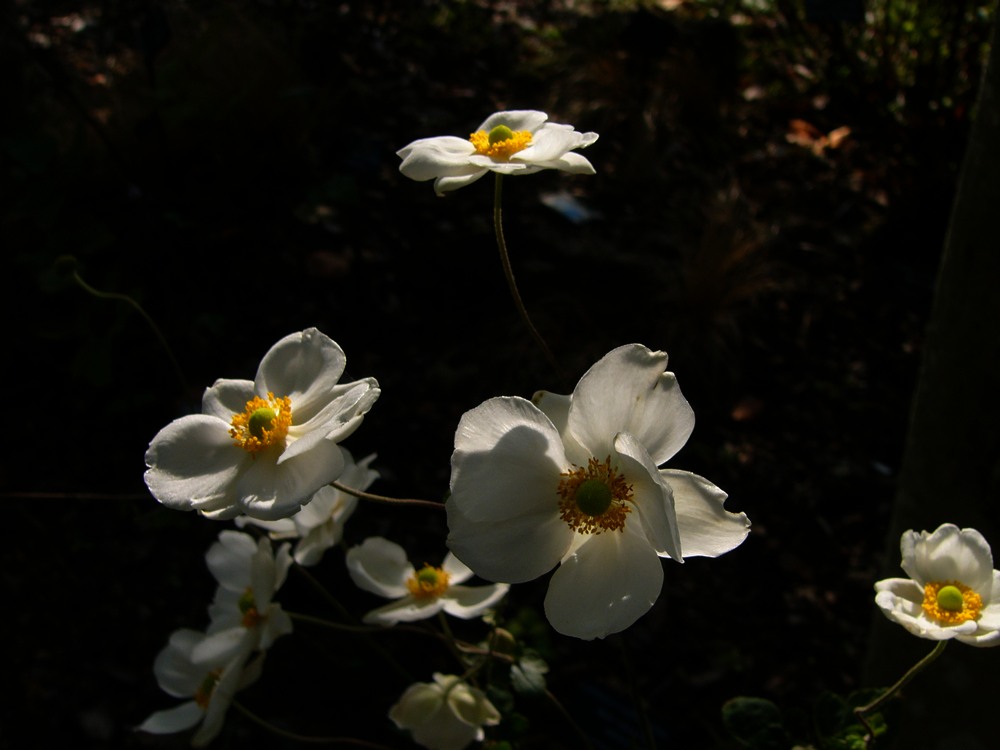 c0062511_217459.jpg