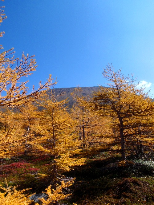 c0177814_17324650.jpg