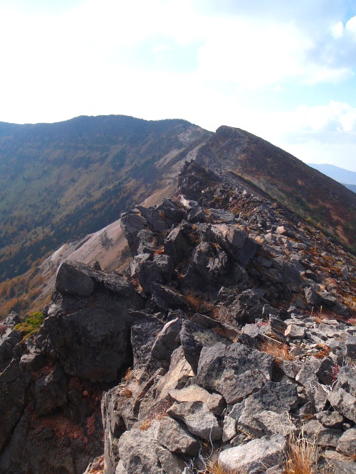 c0177814_17562547.jpg