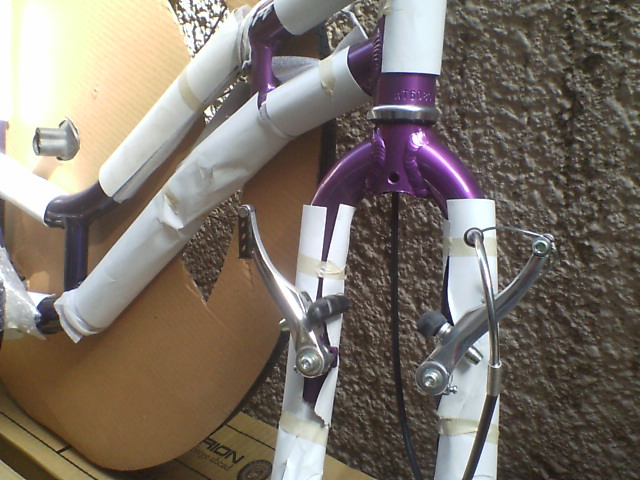 c0100318_128306.jpg